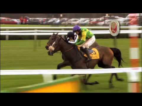 Kauto Star